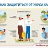 Как защититься от укуса клеща
